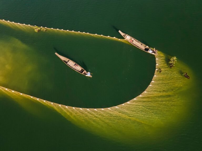 Traveling to an organized symphony of yachts at Denmark