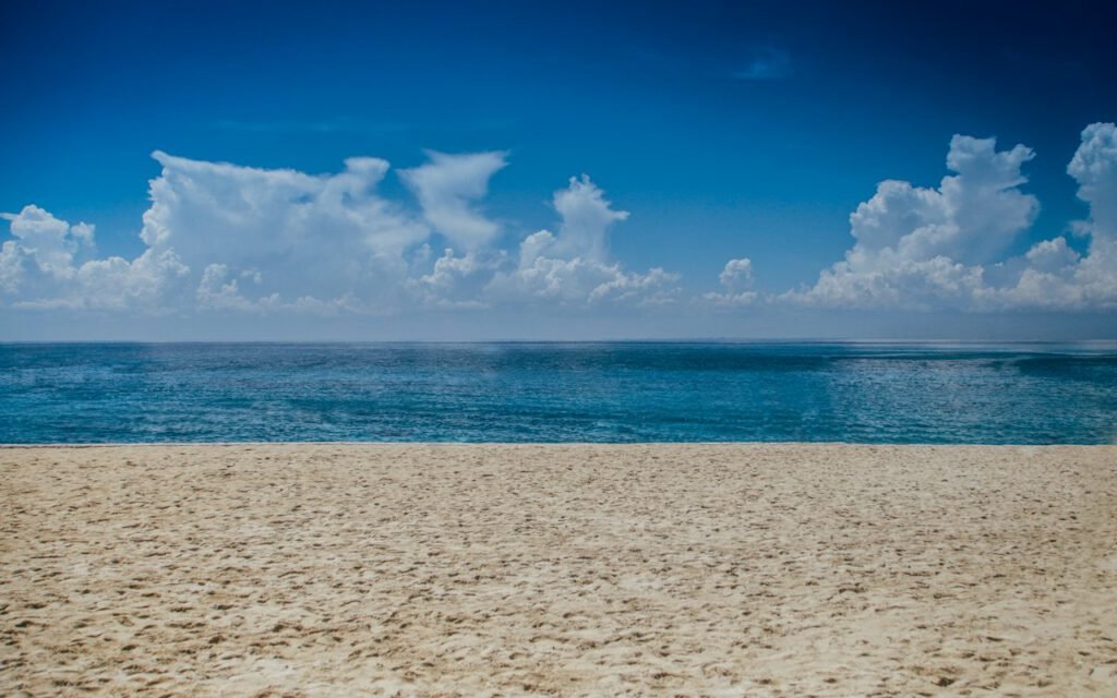 A large crowd of people standing on a sandy beach looking toward the sky