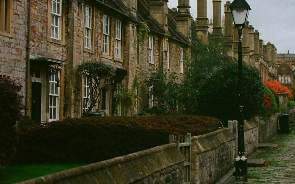 Tree-lined historic street with brick buildings