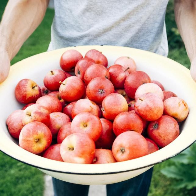 Orchard Fruit Box