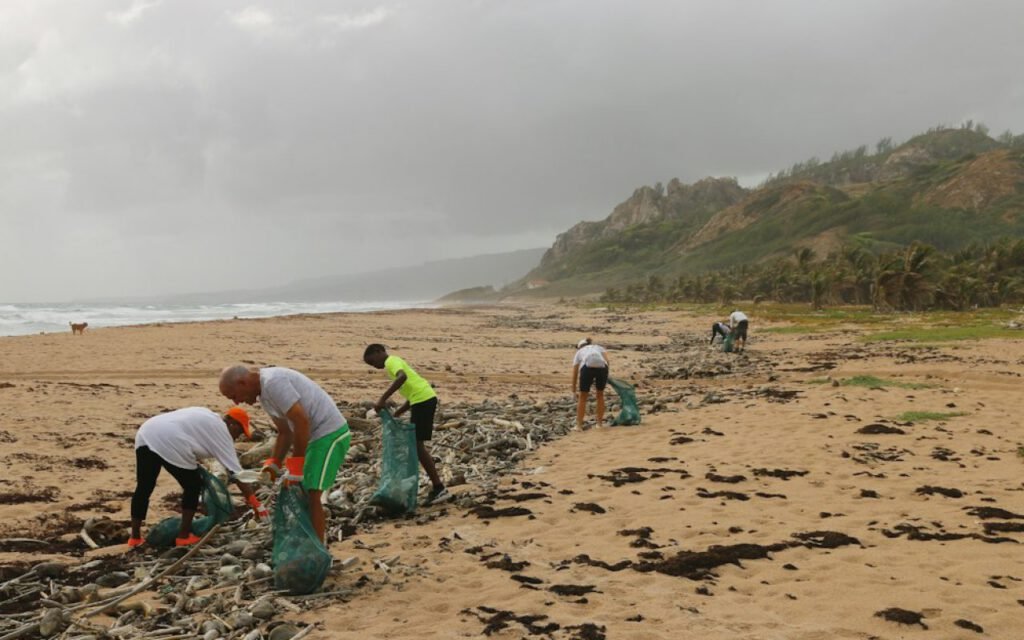 Beach Cleanups: How to Join (or Start) One