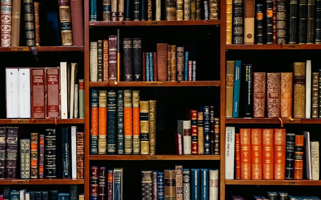 Tall wooden shelves filled with rows of books