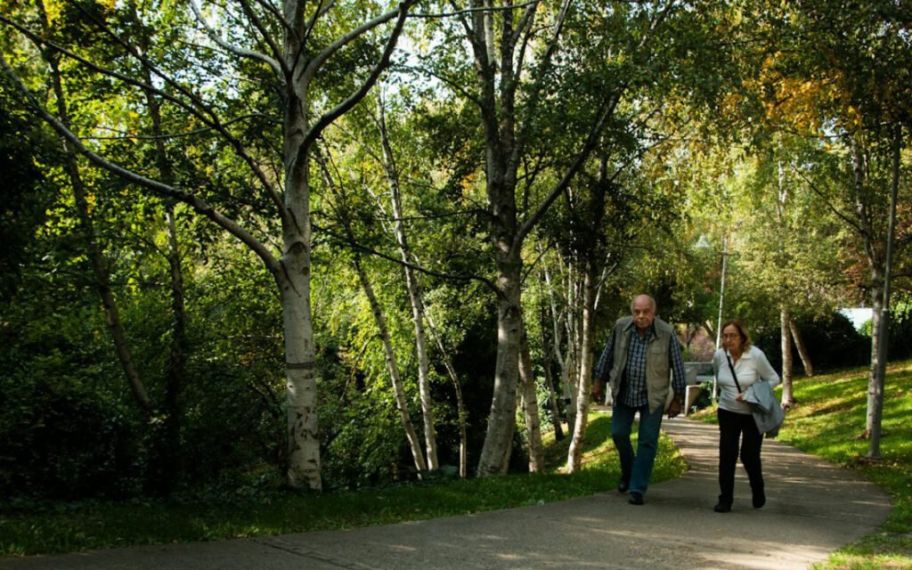A couple walking together along a path outdoors