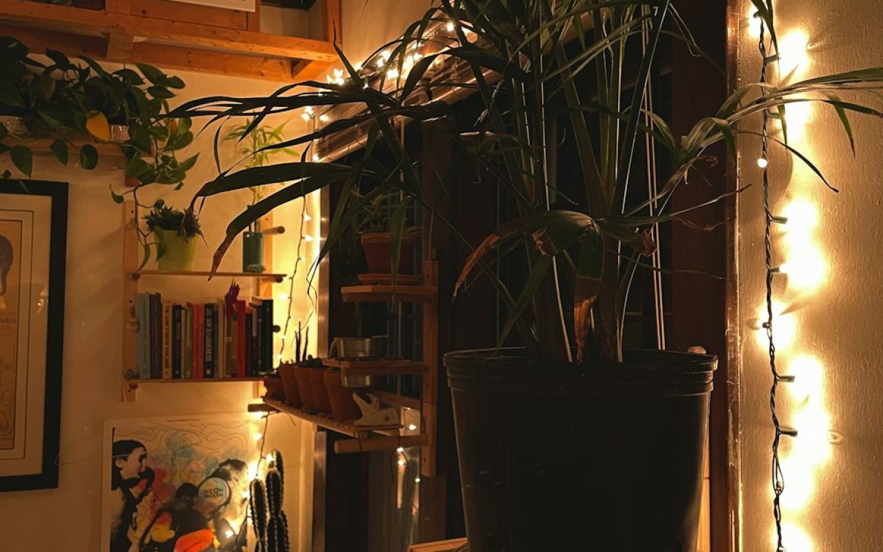Plant shelf, after watering day. — UltraKit