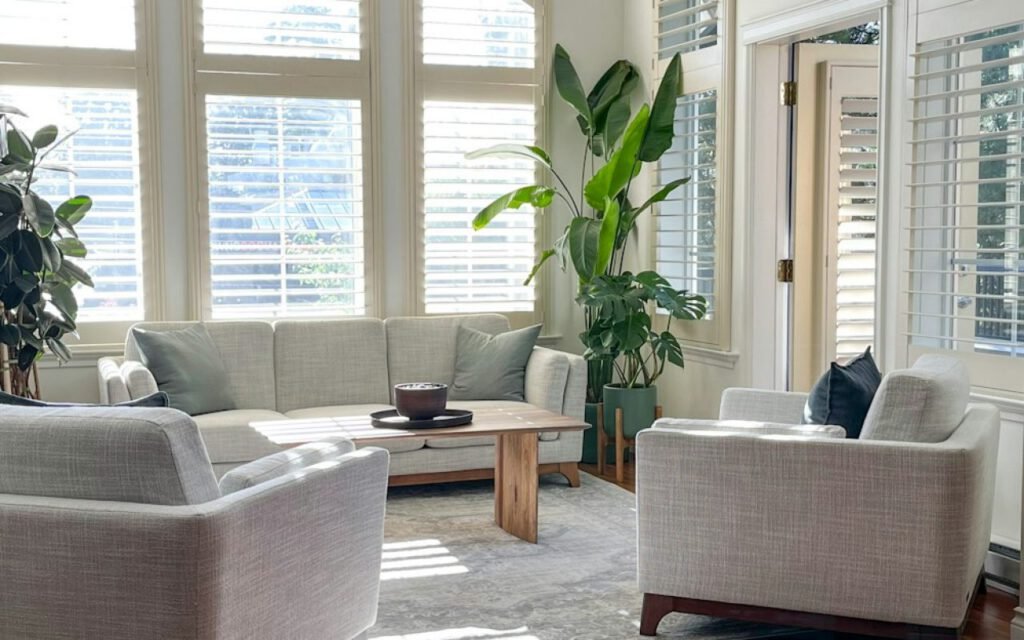 A finished living room with a green accent wall, rug and plants