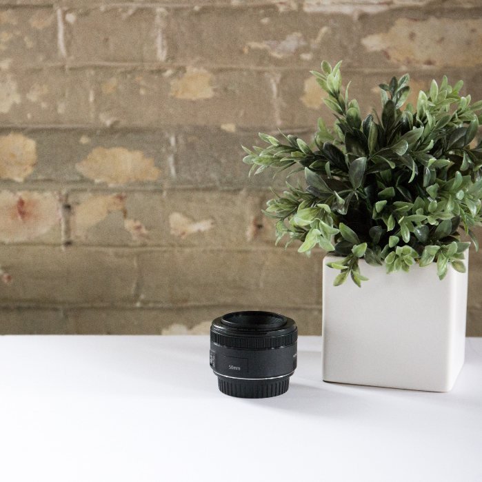 Boston Fern