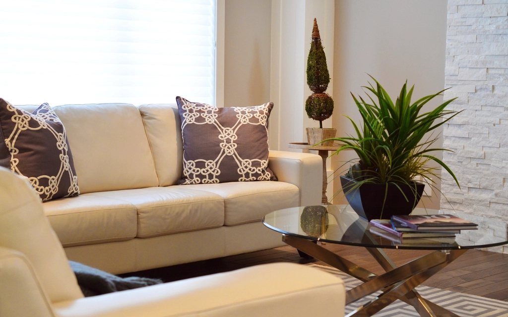 The sunny living room