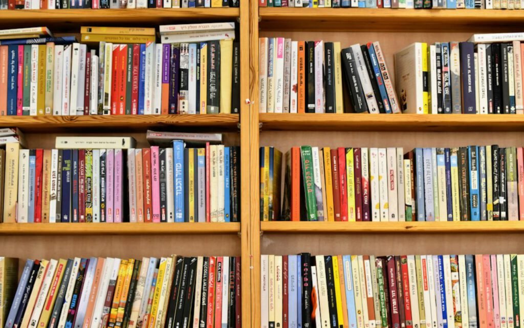 Narrow aisle between tall shelves of used books