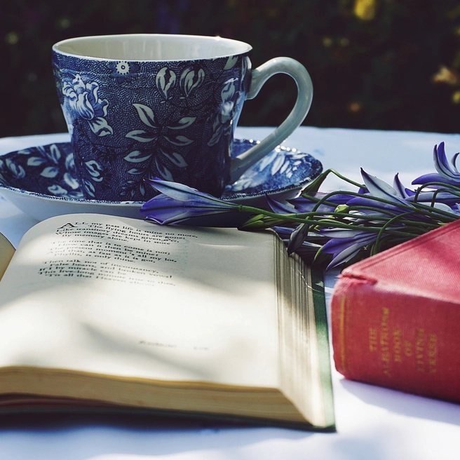 The Rainy Day Reader Bundle