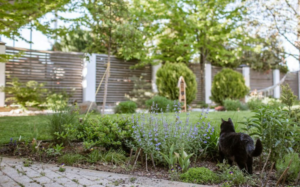 Raised garden bed filled with soil
