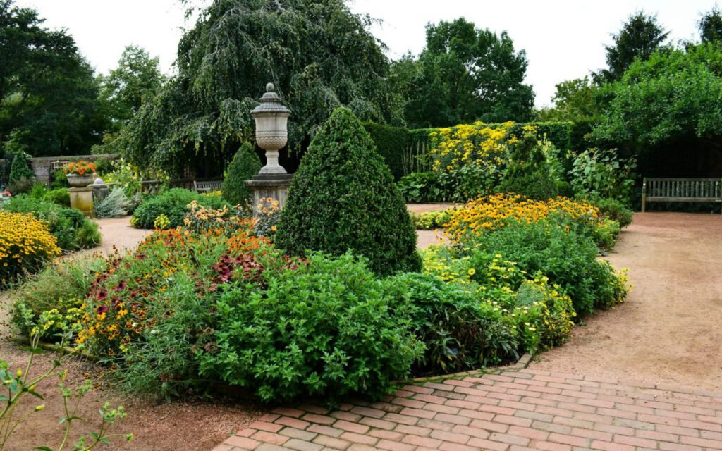 Colorful flowerbed with mixed blooms