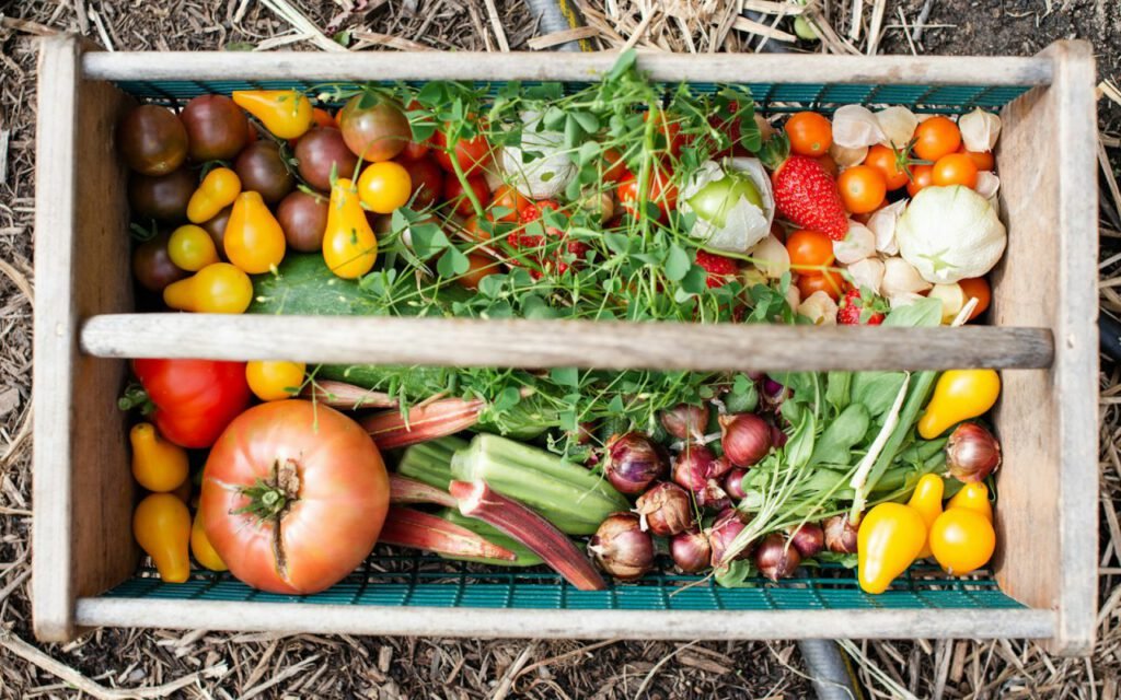 A basket of freshly picked fall harvest produce