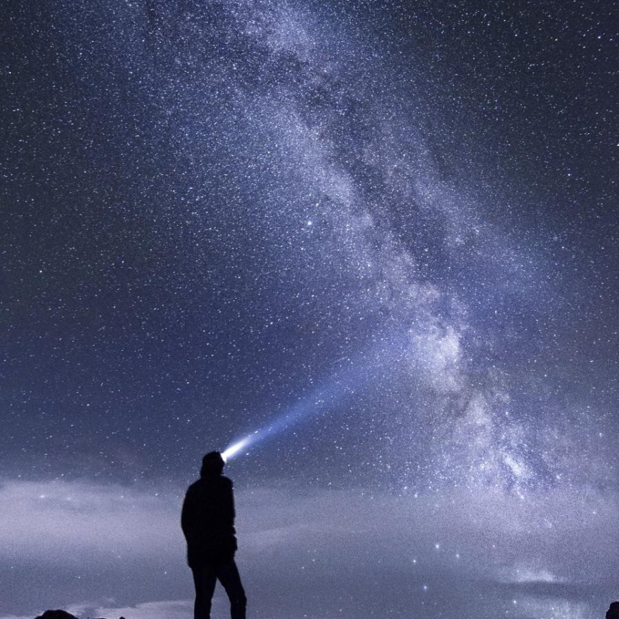 Pinecrest Headlamp