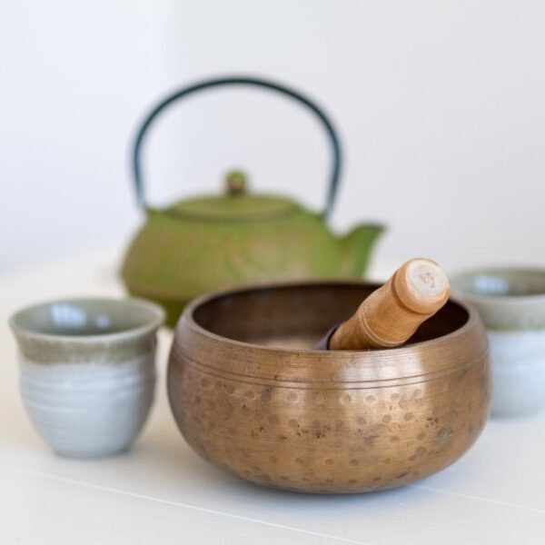 Cast Iron Teapot
