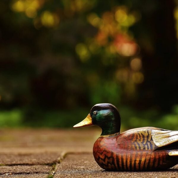 Pull-Along Wooden Duck