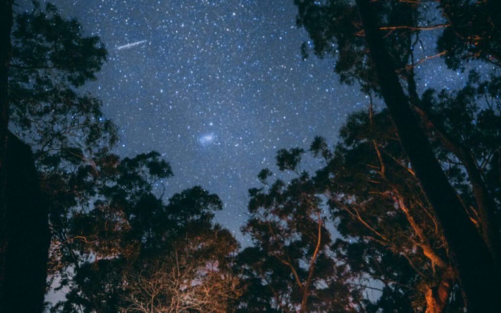 A glowing tent at a campsite under a starry night sky