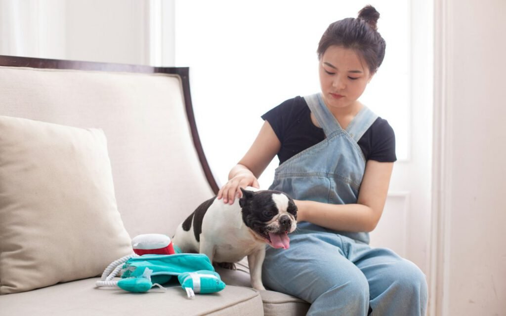 A veterinarian examining a pet during a home visit