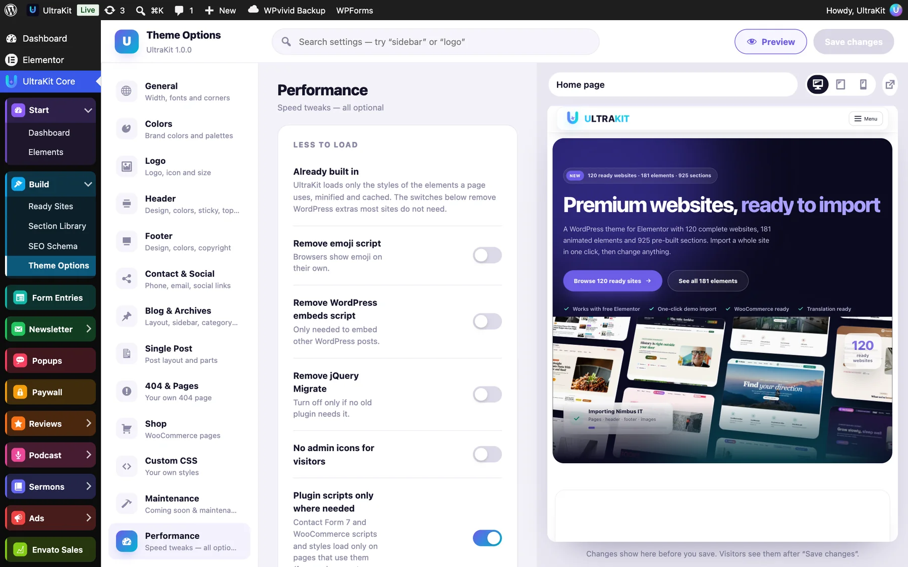 Theme Options → Performance