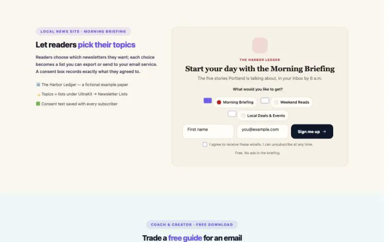 Newsletter element demo