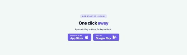 Call to Action 20 section — Advanced Button · Solid