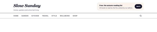 Header 33 section — Lifestyle magazine · italic logo + rules