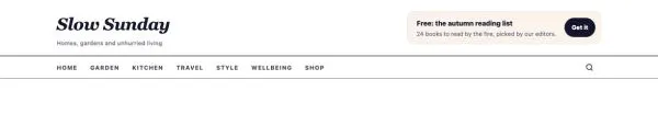 Header 33 section — Lifestyle magazine · italic logo + rules