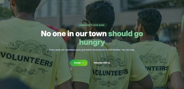 Hero 29 section — Nonprofit · volunteers photo