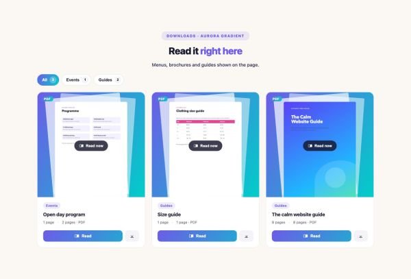Media 18 section — PDF Viewer / Embedder · Aurora Gradient