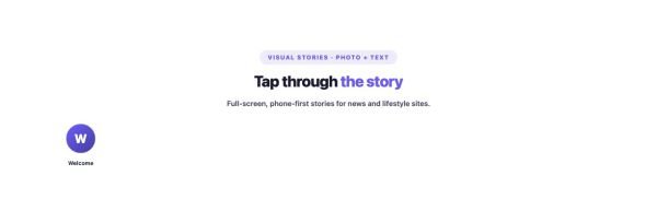 News & Magazine 67 section — Web Stories · Photo + text