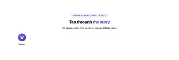 News & Magazine 67 section — Web Stories · Photo + text