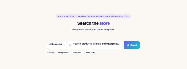 Shop 47 section — WooCommerce Search · Segmented bar (category + field + button)