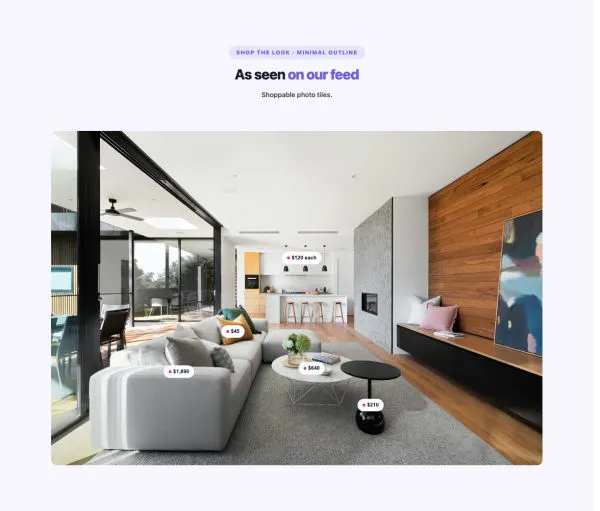 Social 06 section — Instagram Shopping · Minimal Outline