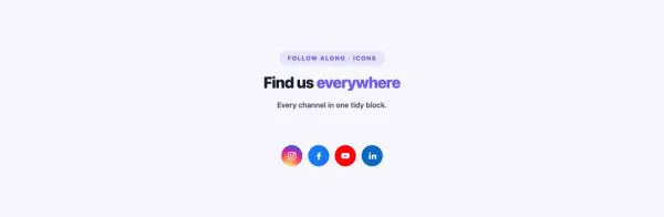 Social 07 section — Social Follow · Icons