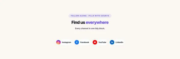 Social 08 section — Social Follow · Pills with counts